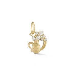 Aquarius Charm