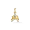 Cancer Charm