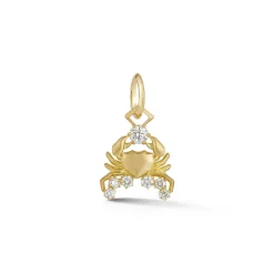 Cancer Charm