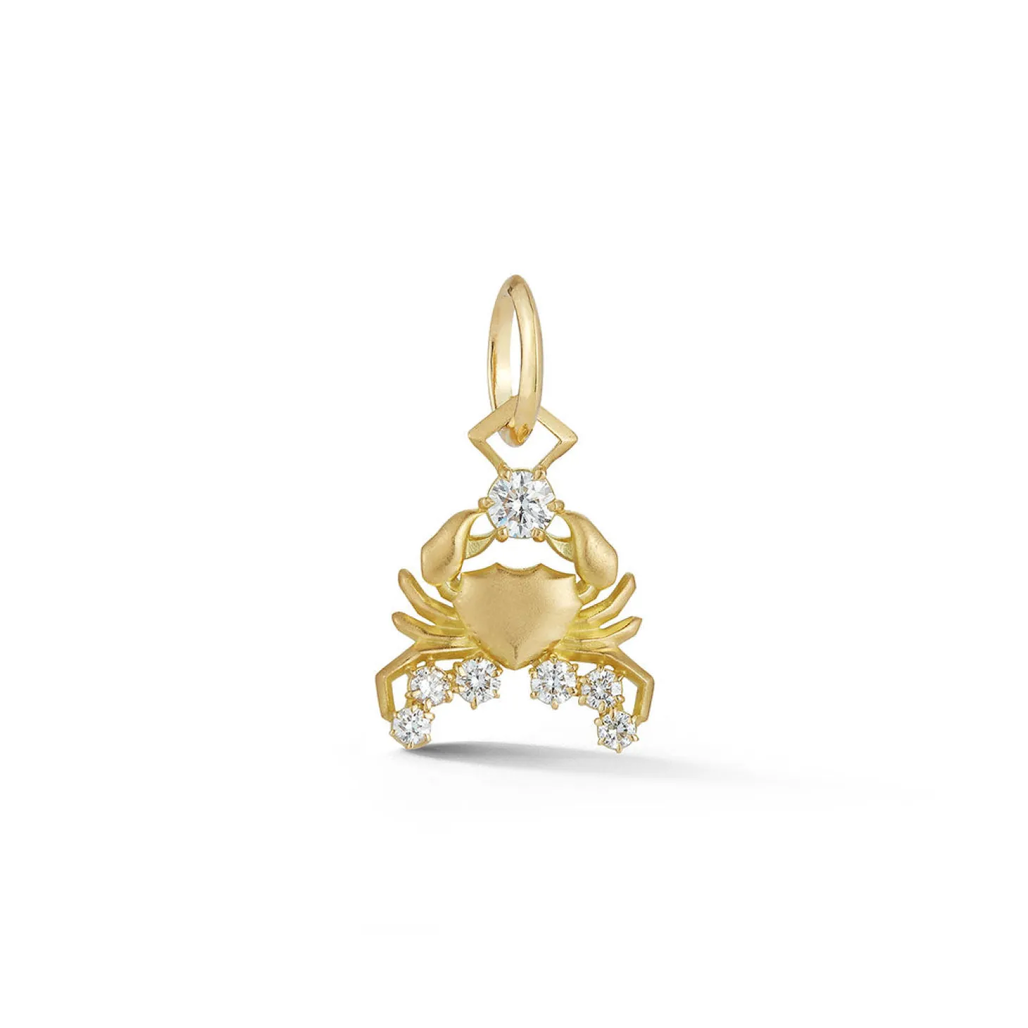 Cancer Charm
