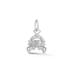 Cancer Charm