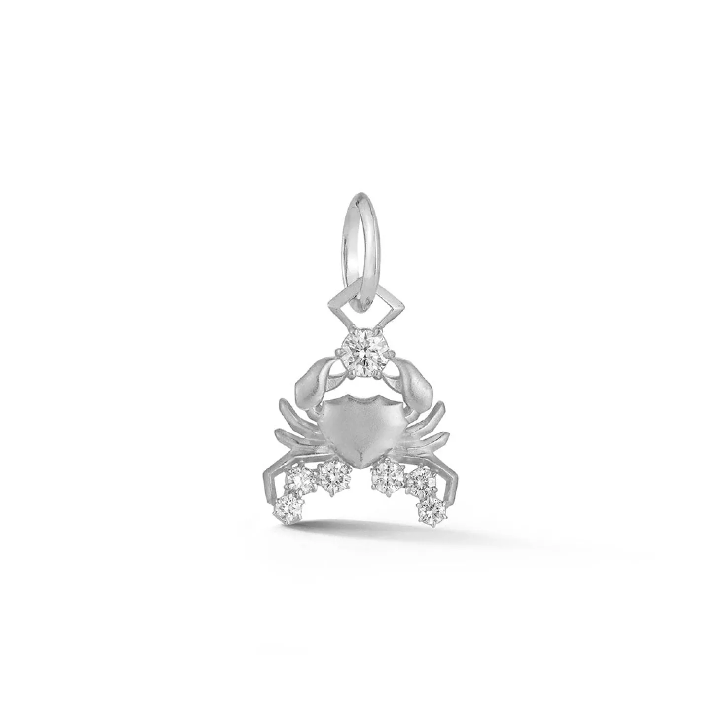 Cancer Charm
