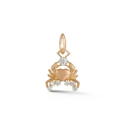 Cancer Charm
