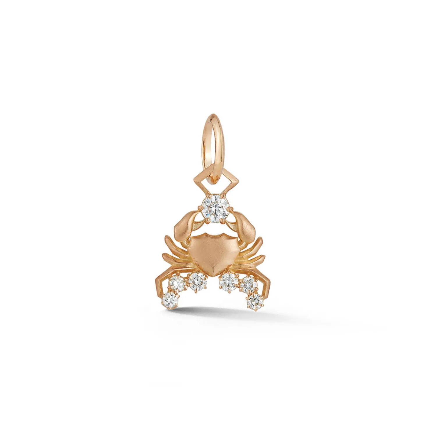 Cancer Charm