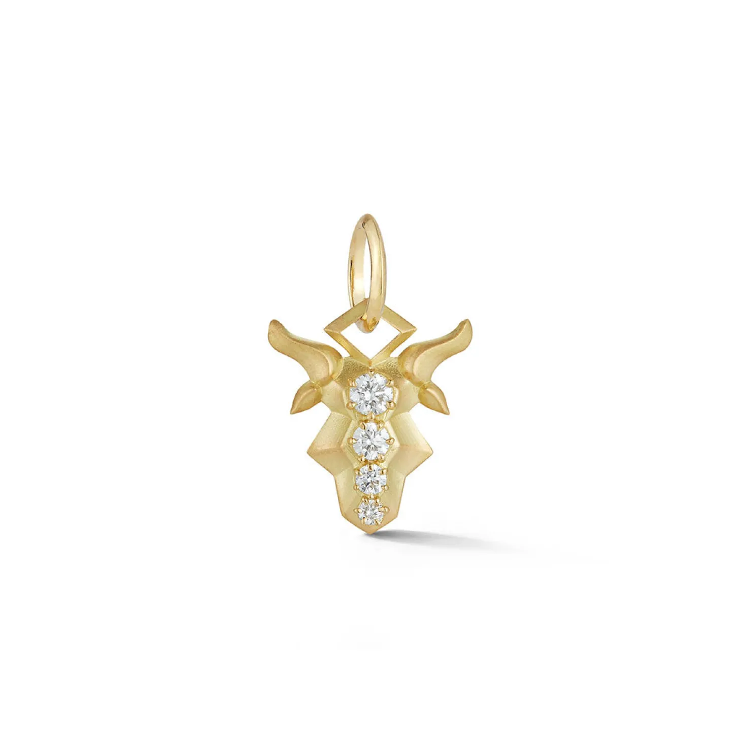 Capricorn Charm