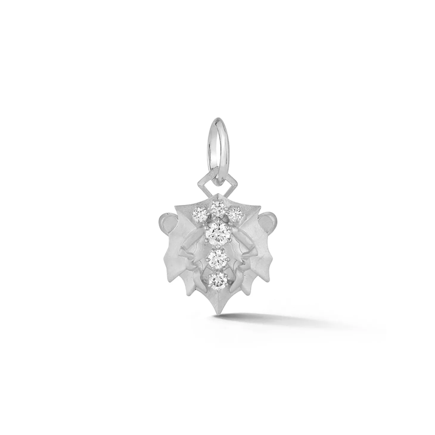 Leo Charm