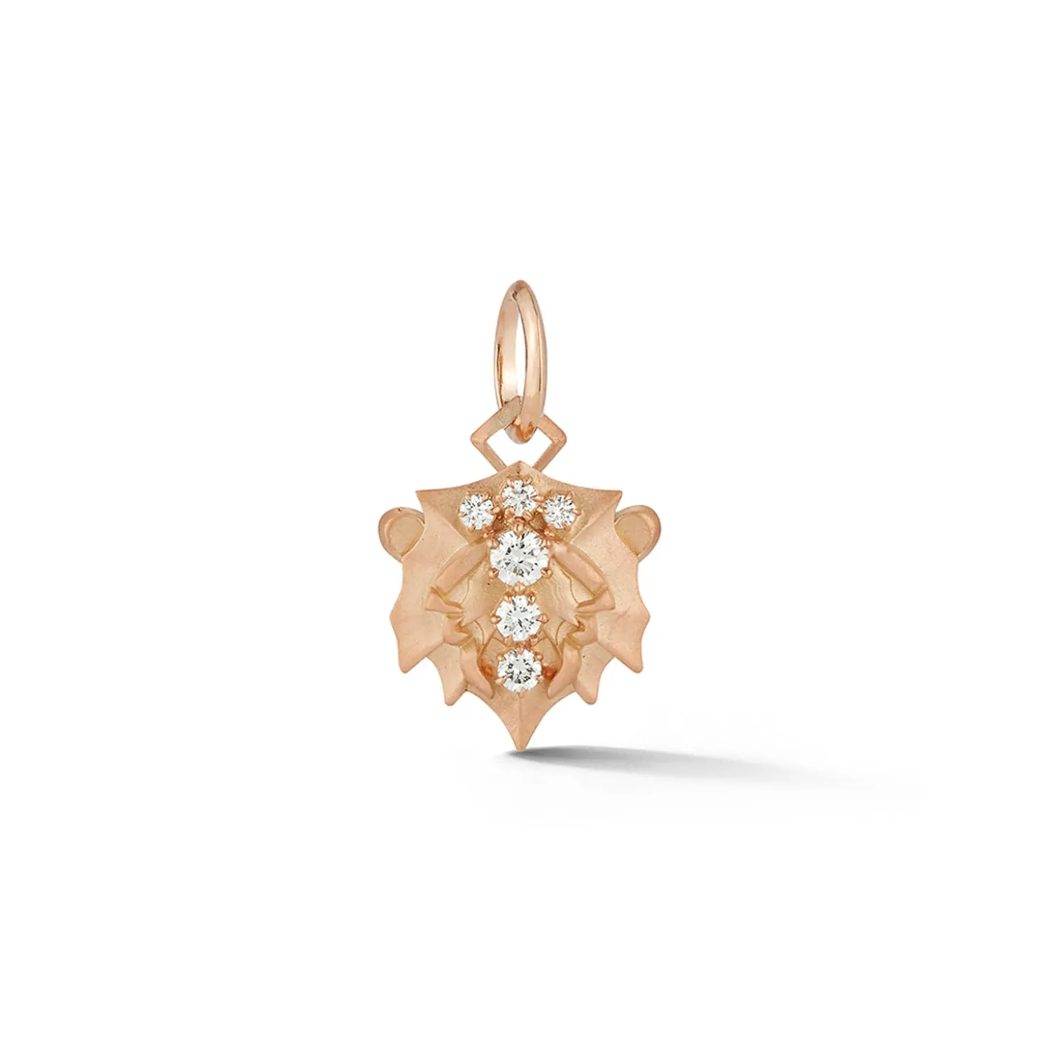 Leo Charm