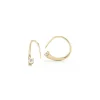 Mini Ara Hoops