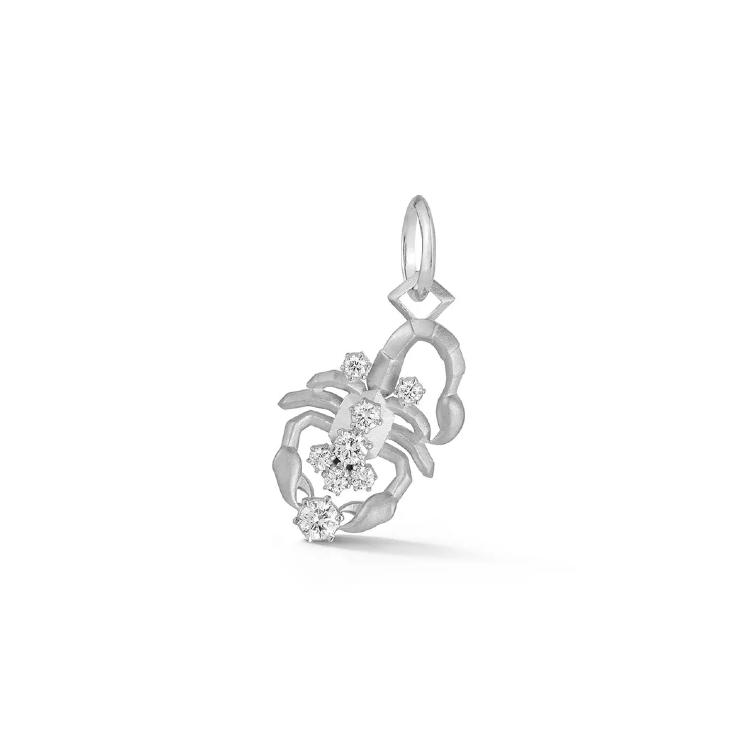 Scorpio Charm