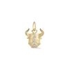 Taurus Charm