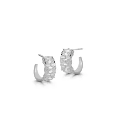 Vanguard Small Hoops