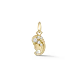 Virgo Charm